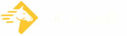 Logo for Paladin Security